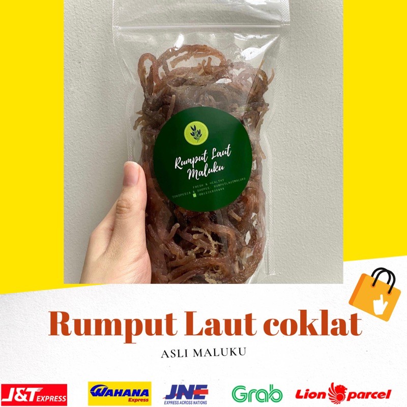 

500 GR RUMPUT LAUT COKLAT KERING COTTONII COTONI SEA BIRDNEST KUALITAS PREMIUM NO 1 DIJAMIN 100% ASLI