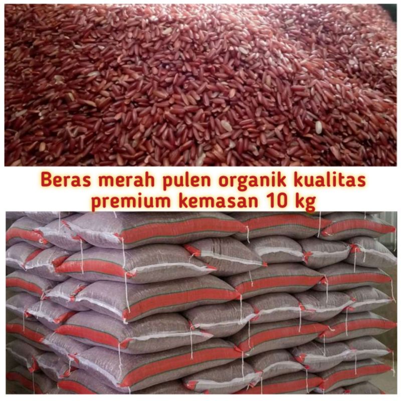 

Beras merah organik 10kg