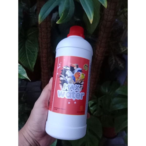 

MAX WATER Air Mineral Sangat Kaya Akan Manfaat