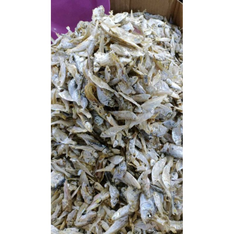 

Ikan Teri Sampah/ Ikan Teri Campur-campur per 1kg