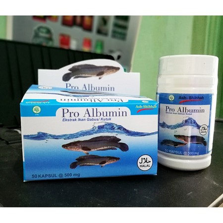 Pro Albumin Ash-Shihhah Kapsul Ekstrak Ikan Gabus / Kutuk Original