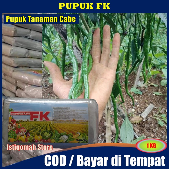 Pupuk FK 1 Kg untuk Cabe, Pupuk Cabe Berbuah Banyak, Pupuk Cabai Rawit, Pupuk Cabe Tahan Hama Paket, Busuk Daun, Busuk Buah, Busuk Akar, dll - Pupuk Organik Obat Penyakit Tanaman TERLARIS MURAH Alami Aman Ramah Lingkungan