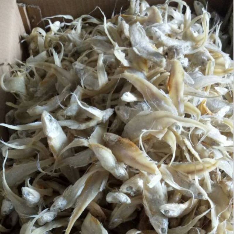 

IKAN ASIN BULU AYAM 250gram