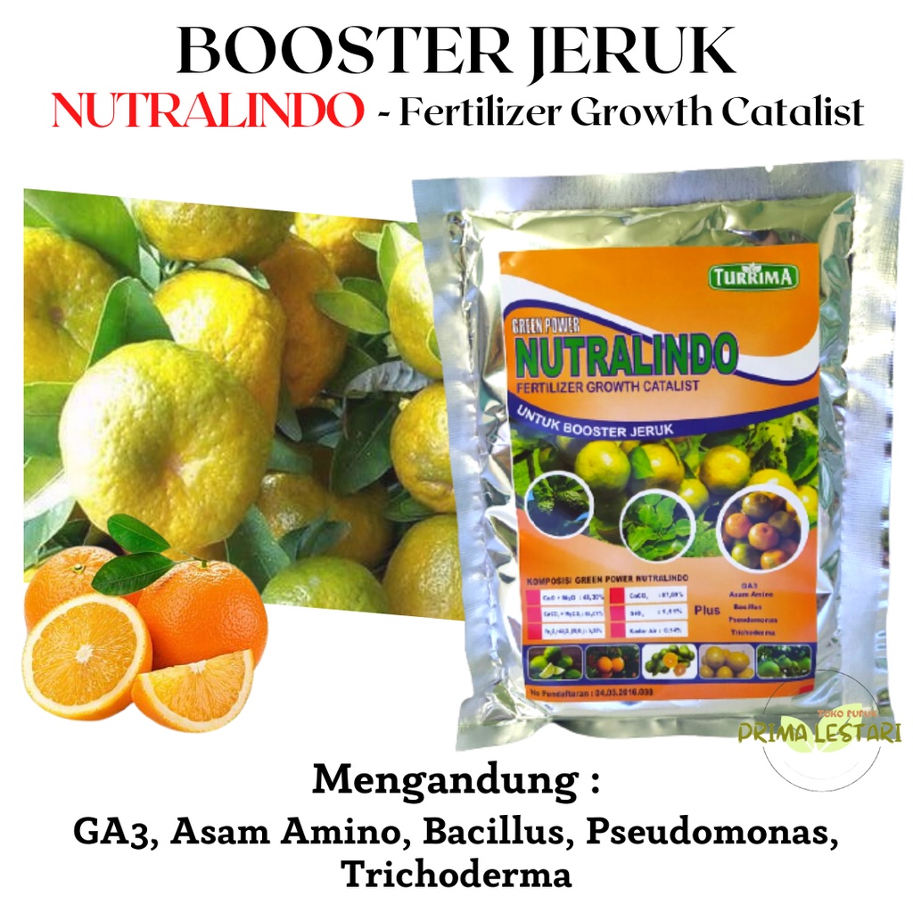 Pupuk Perangsang Buah Jeruk, Pupuk Jeruk Santang Madu Cepat Berbuah, Booster Jeruk Lemon, Pupuk Jeru