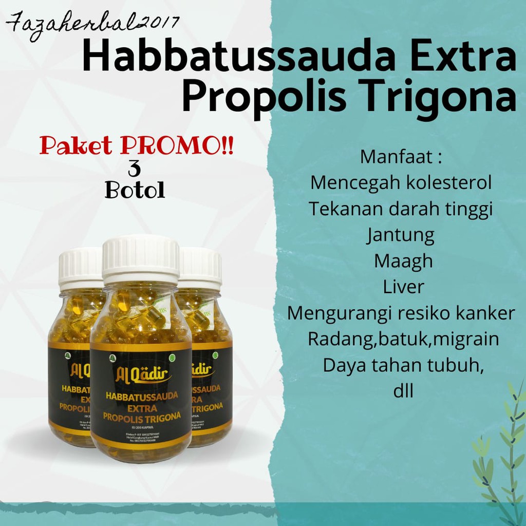 HARGA PROMO 3 Habbatussauda Extra propolis Trigona 200 kapsul