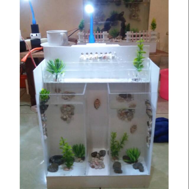 Aquarium mini akrilik dan pipa pvc