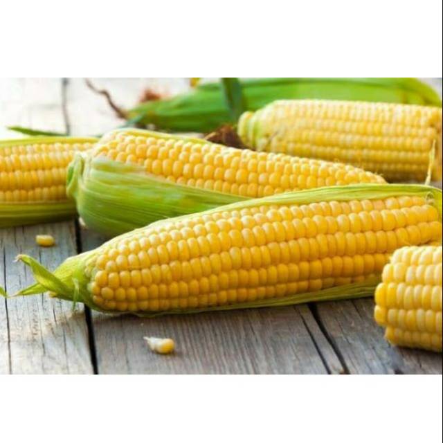 

Jagung Manis Kualitas Super per 1 kg