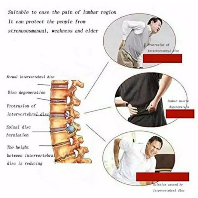 Korset terapi sakit pinggang lutut dan leher Bio/Good Belt waist/Deker Lutut