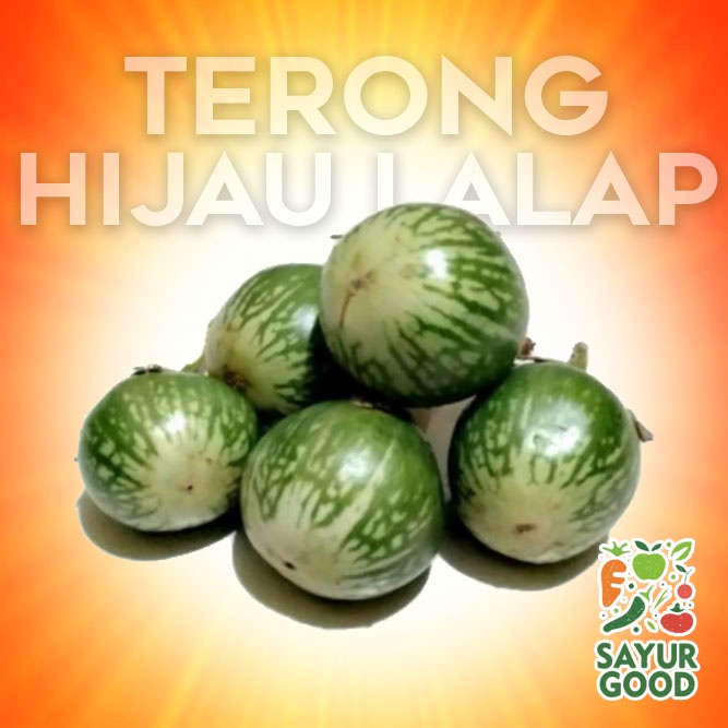 

Terong Lalap Hijau Segar / Terong Bulat Hijau Fresh 250 gram