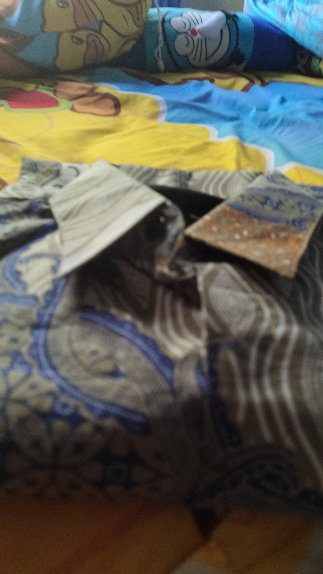 Batik Pria Premium Opo Biru Batik Pria Jumbo Xxxl Lengan Panjang Terbaru Solo Jawa Kondangan. Xxxxl