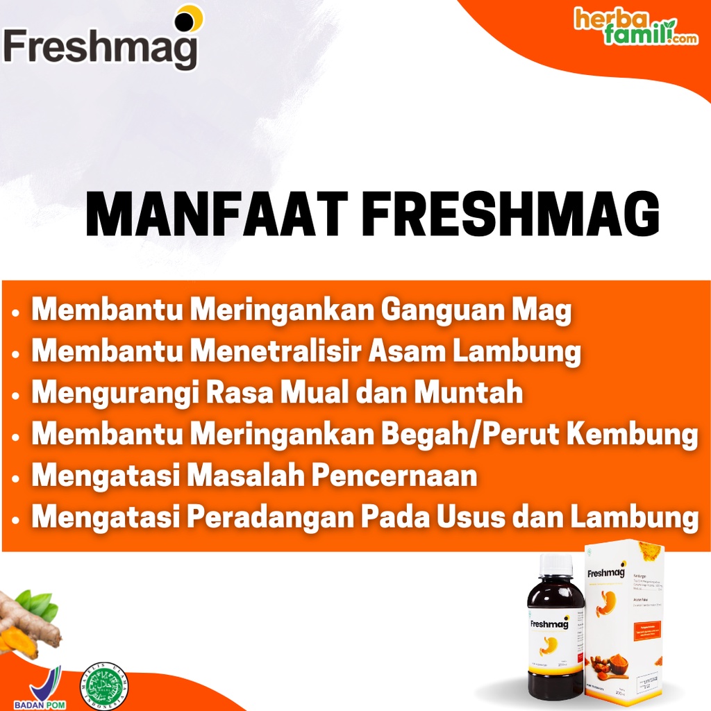 PAKET 3 BOTOL FRESHMAG | Madu Herbal Obat Lambung, Obat Maag, Gerd | FRESHMAG OBAT LAMBUNG ORIGINAL