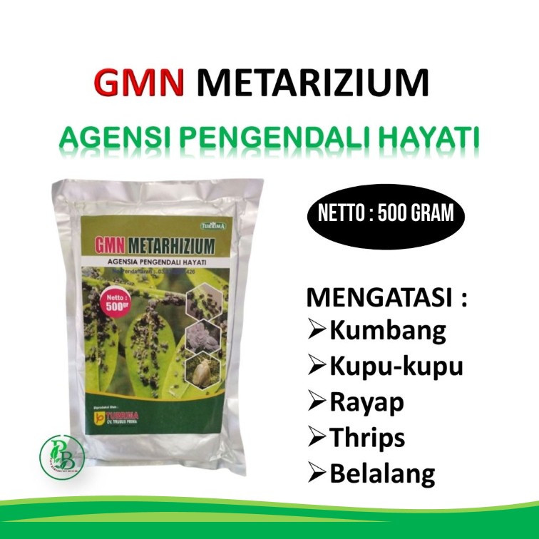 Insektisida Organik hama tanaman cabe Kutu daun, Fungsisida Tomat Ulat tanah