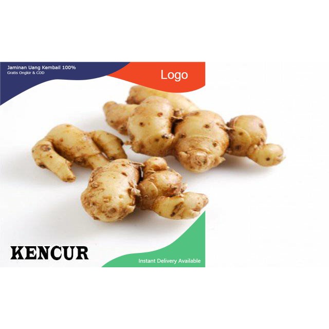 

Promo Kencur atau cikur segar 100gram