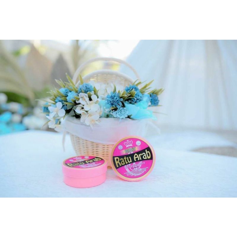 Bibit ratu arab original/ Ratu Arab