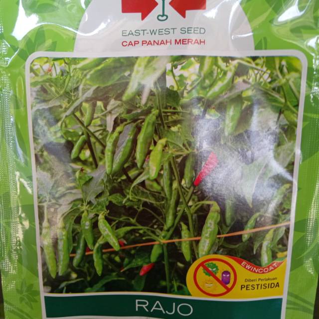 Benih Cabe rawit RAJO 2250 Butir