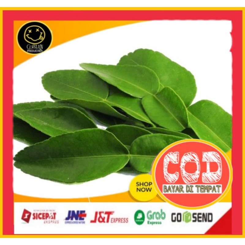 

Daun Jeruk 100g Rempah Herbal Sayuran Fresh Sayuran Segar Sayuran Organik Sayuran Online Terlaris
