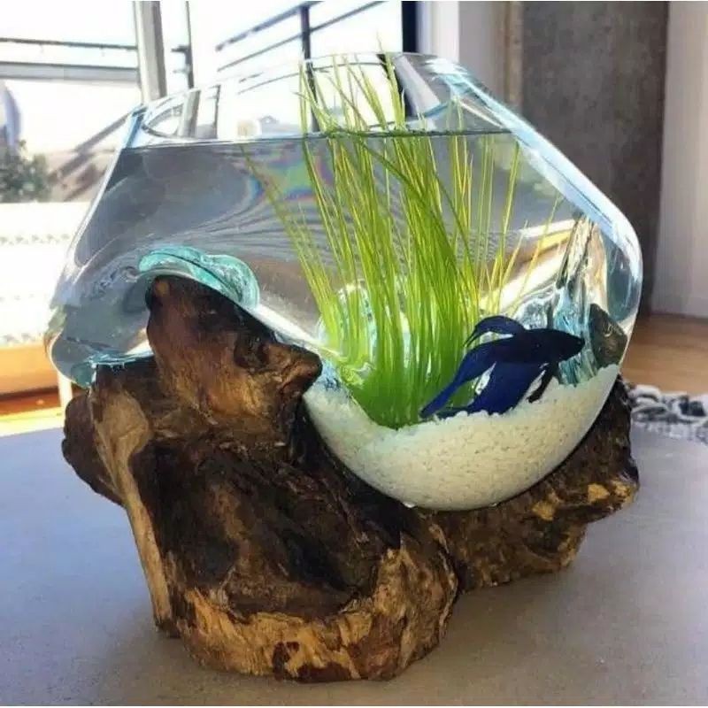 AQUARIUM IKAN CUPANG/AQUARIUM/zize xl (15cm)/VAS/POT/AQUASCAPE/KACA TIUP