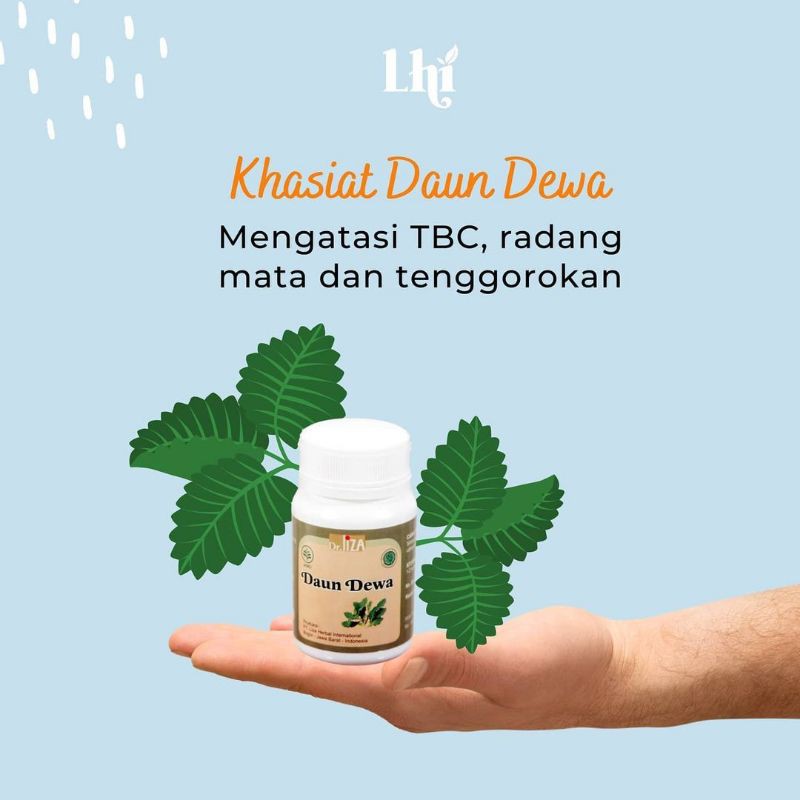 

(Produk ASLI LHI)Kapsul DAUN DEWA / Membantu Mengatasi Kanker Tumor
