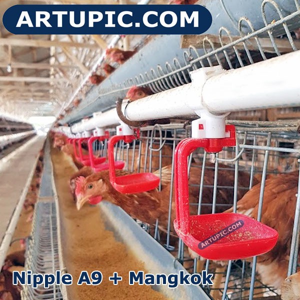 Mangkok LM untuk nipple nipel nepel ayam A9