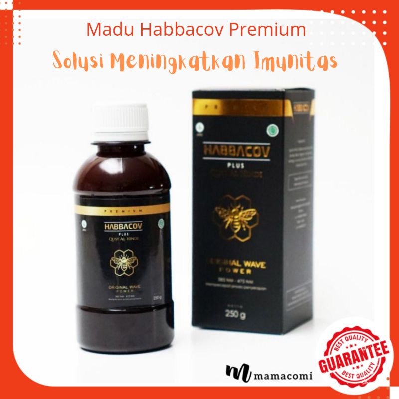 Habbacov Qust Al Hindi | Madu Habbacov Premium