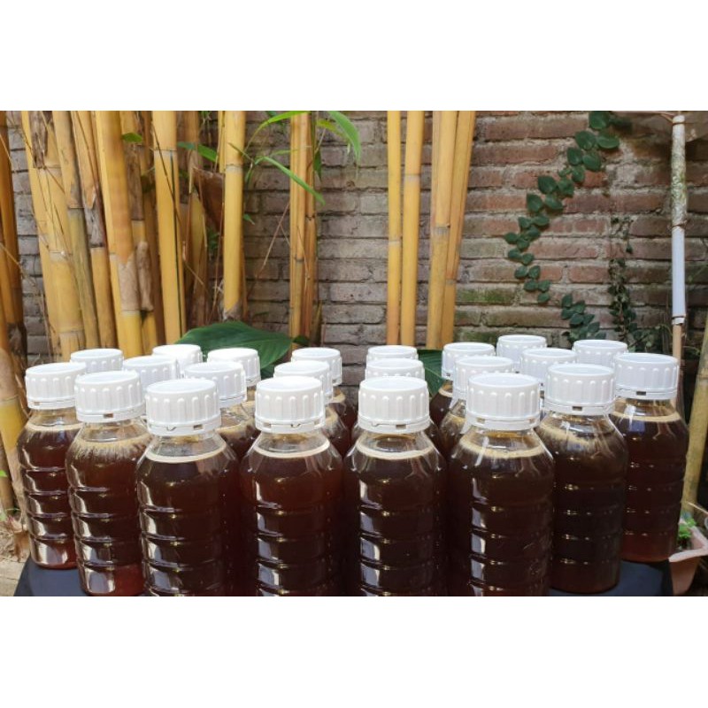 

madu asli ternak