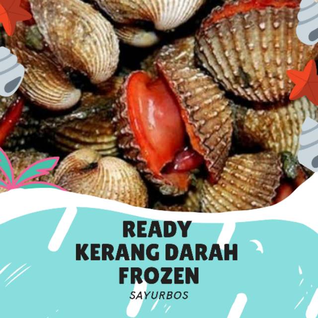 

Kerang Darah Frozen