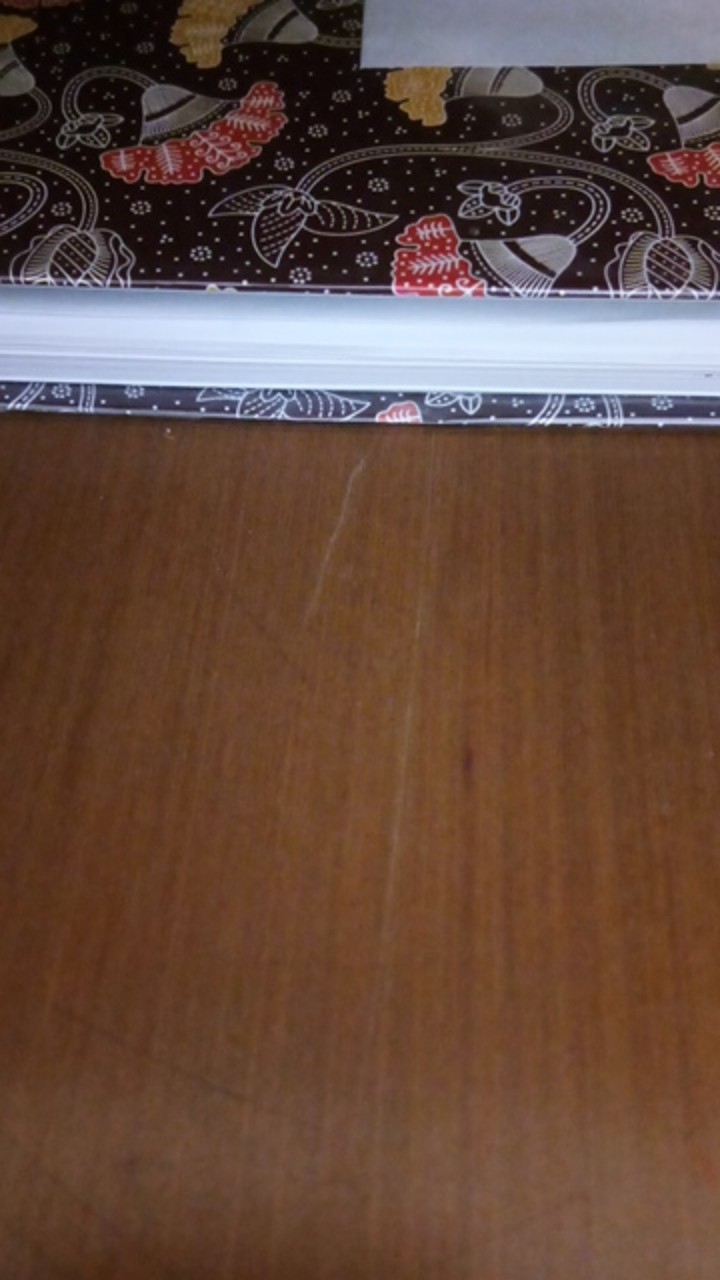 Aglaonema Kocin Paramruai Lokal