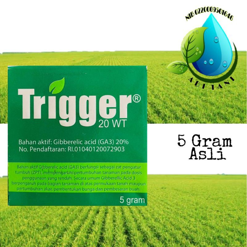 Trigger 20 WT (GA3) ASLI