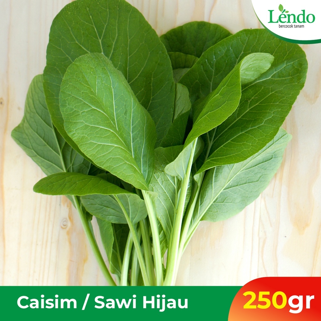

Caisim / Sawi Hijau Hidroponik