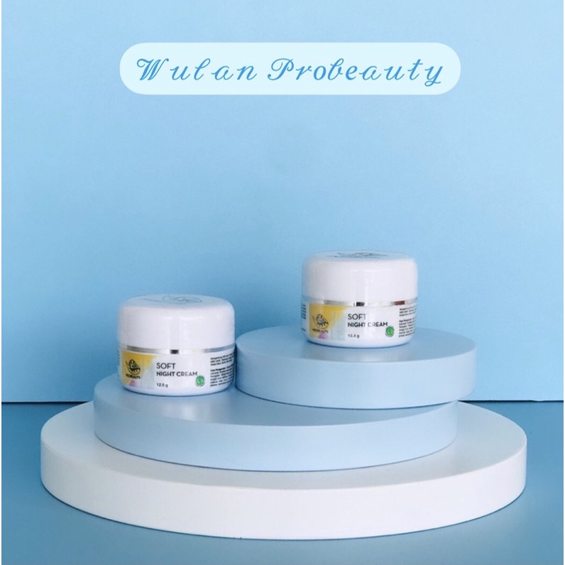 PROBEAUTY SOFT NIGHT CREAM/KRIM MALAM MEMUTIHKAN/SKINCARE WAJAH BPOM/PERAWATAN PENCERAH MUKA PRIA WA