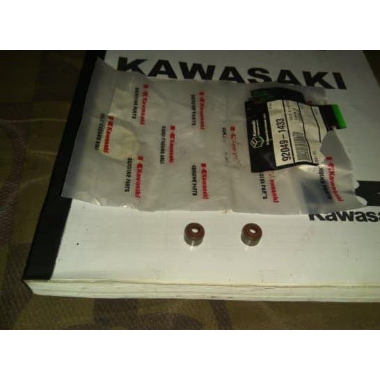 seal klep kawasaki athlete blitz edge zx130