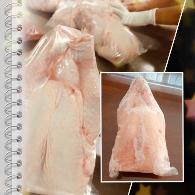 

Ayam Broiler