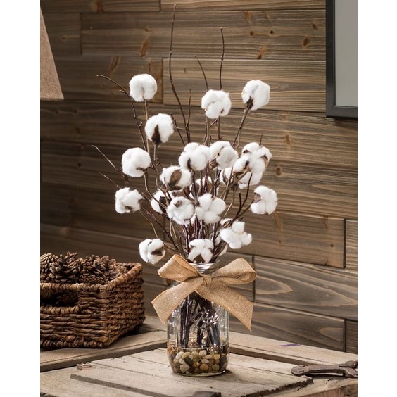 (TERMURAH) Imported Dried Flower Cotton Dekor Properti Foto