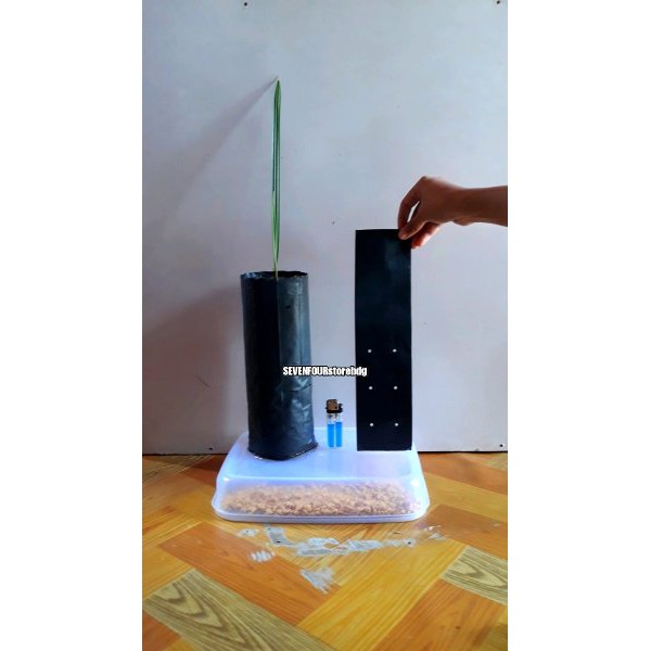 

polybag kurma kwalitas super tebal