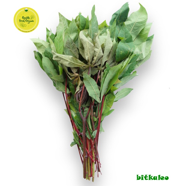 

Daun Singkong Organik 200 gr (PO)