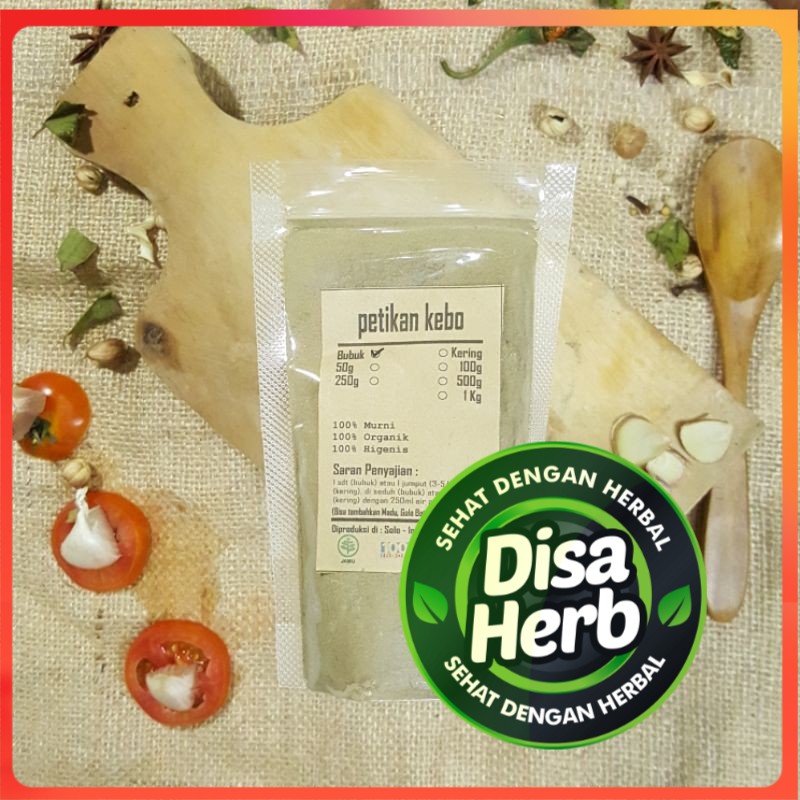 

PETIKAN KEBO BUBUK 500 Gram - Euphorbia Hirta - MURNI - JSR - REMPAH - PREMIUM QUALITY
