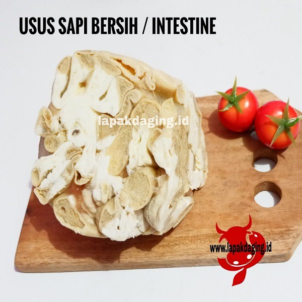 

Usus Sapi Bersih / Intestine