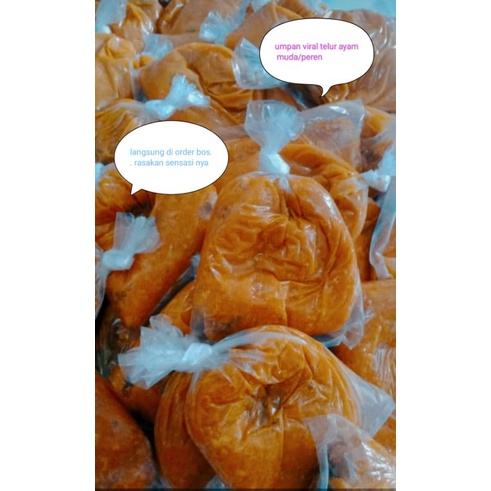 Umpan Galatama Lele Peren/ Telur Ayam Muda ||| umpan anti bengong anti galau