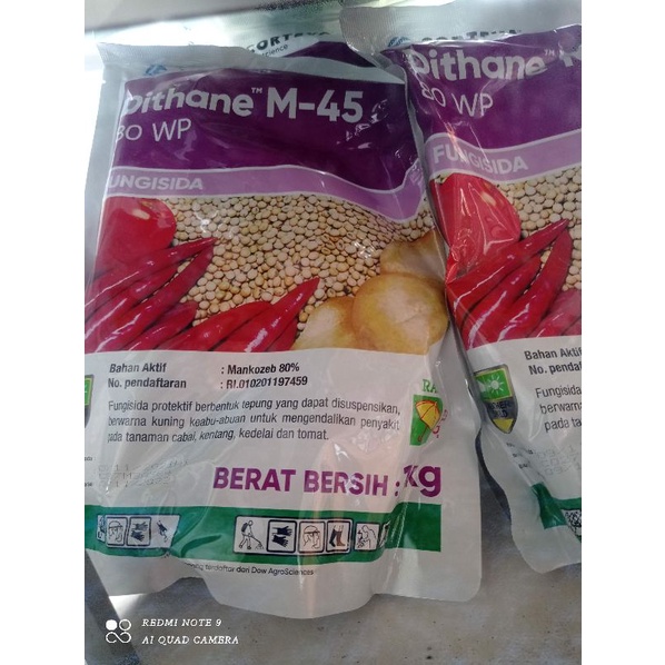 Fungisida Dithane 1kg
