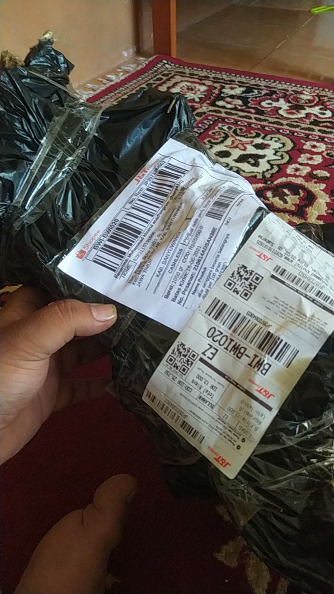 Akar Senggani Beserta Batangnya Dijual Per 100 Gram