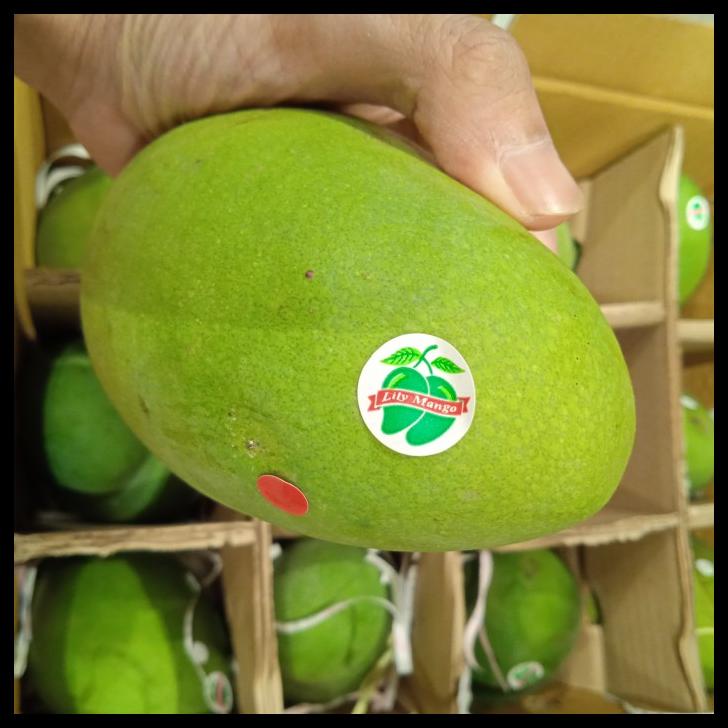

Mangga Lily Box 5Kg