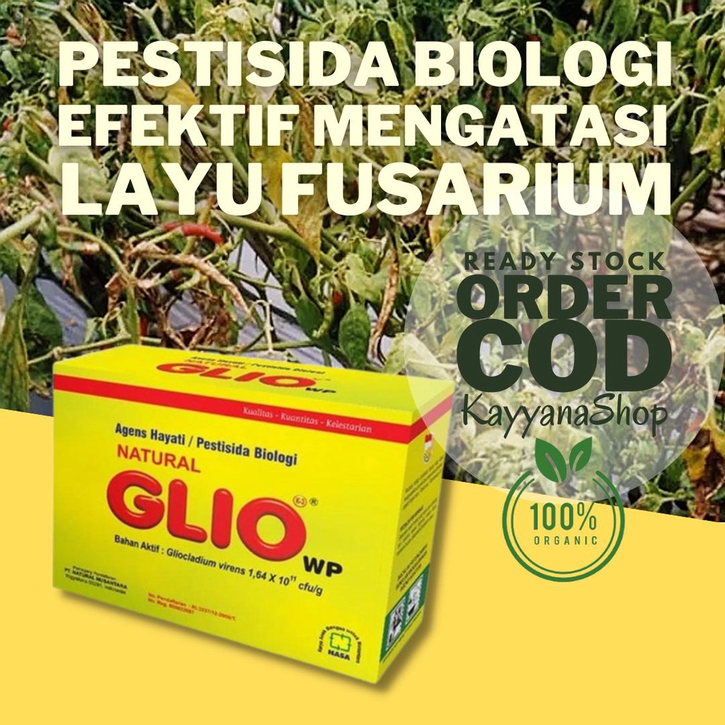 Promo NATURAL GLIO Pengendali Jamur Fusarium Penyebab Layu Tanaman 100 Gram /Fungisida Organik NASA / Obat Jamur Tanaman Hias / Obat Jamur Tanaman Buah / Obat Jamur Tanaman Cabe / Obat Jamur Akar Tanaman / Fusarium /Obat Jamur Akar Putih / Obat Layu