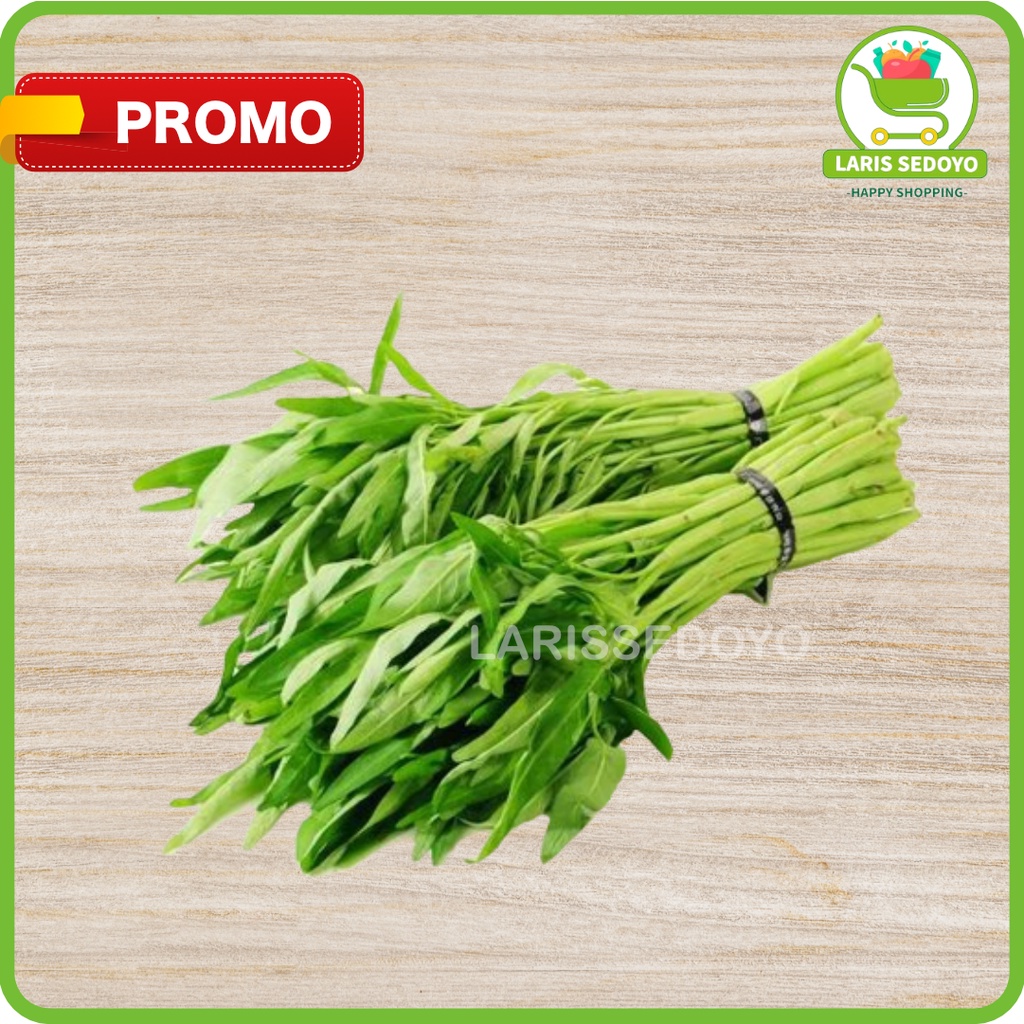 

Termurah Sayur Kangkung Segar 1 Ikat Sayuran jakarta