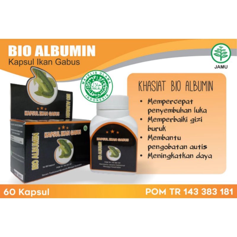 kapsul ekstrak Albumin ikan gabus Bio Albumin Neuro protector