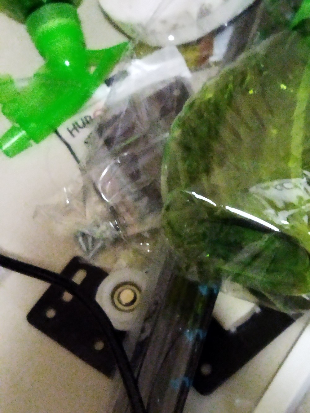 Dowel Kayu Uk. 6mm X 30mm