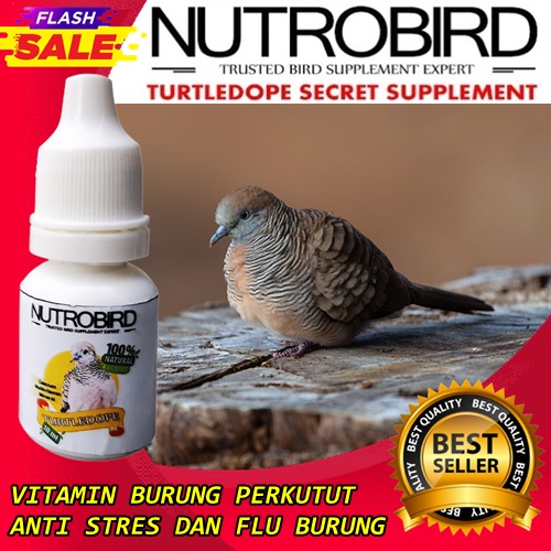 BestSeller vitamin perkutut sehat gacor obat tetes perkutut bangkok gacor