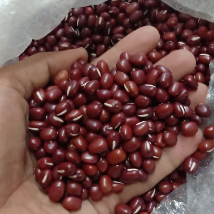 

1000gr Kacang Merah Kecil - Small Red Beans - MPASI