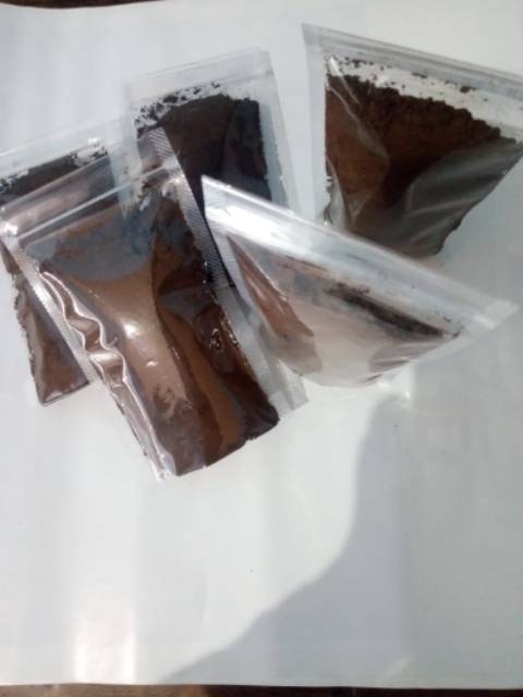 

Kopi robusta dampit