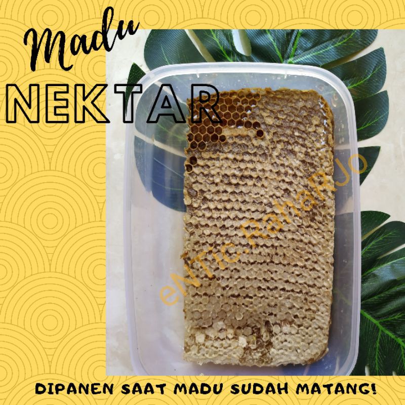 Asli Madu Sarang Nektar / Madu Sarang Matang / Sarang Lebah Mellifera 250gr &amp; 500gr Murni