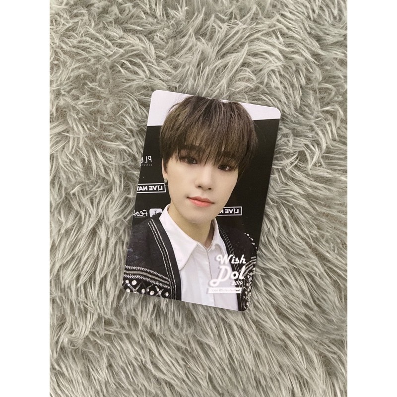 Photocard Wishdol Dino Seventeen